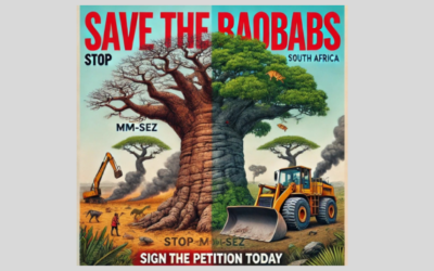 Stop the Destruction of Baobab Trees in the Vhembe Biosphere Reserve, South Africa